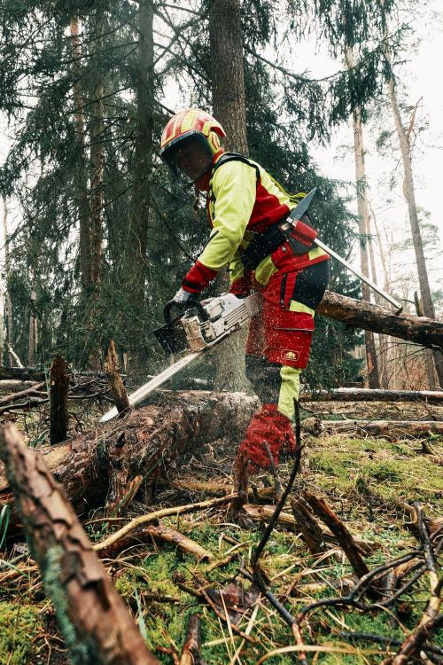 Motorsägenkurse von Wood Commander