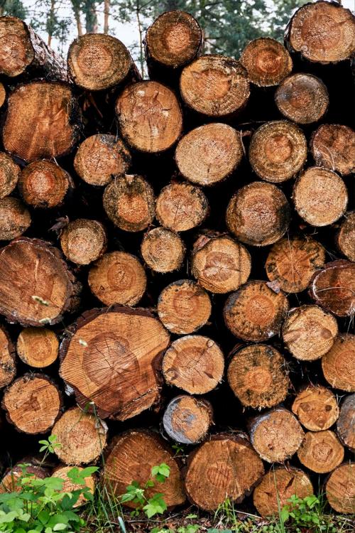 Brennholz von Wood Commander