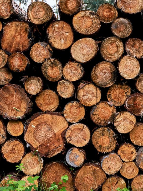 Brennholz von Wood Commander