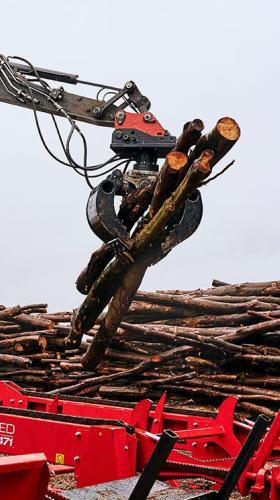 Motorsägenkurse für die Forstwirtschaft